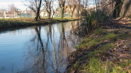 Fototapeta na wymiar small river in the park with tree reflections