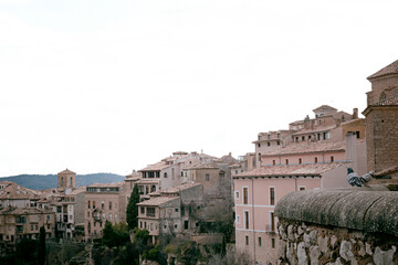 Obraz premium Pigeons leaning on a wall
