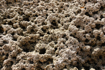Close up of sea ​​rocks, Algarve