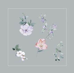 Flowers watercolor illustration.Manual composition.Big Set watercolor elements，Design for textile, wallpapers，Element for design,Greeting card