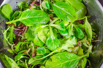Fresh leaves of various types of salad in a colander