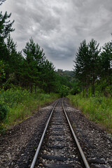 Fototapeta premium Atlantic forest with araucaria (Araucaria angustifolia) stands out, where there is a railway line, in the city of Apiaí, São Paulo.