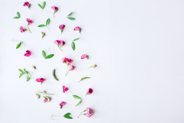 Flowers composition. Pattern made of pink flowers and leaves on white background. Spring, easter, summer concept. Flat lay, top view, copy space.