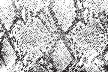 Skin Overlay Texture