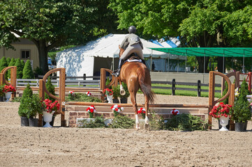 horse jumping