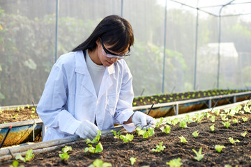 The female botanist, geneticist, or scientist is working in greenhouses full of plants.
