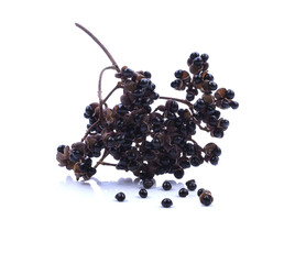 Zanthozylum limonella Alston on white background