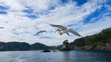 みやこ浄土ヶ浜遊覧船