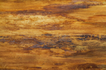 A close up of a very weathered and rough piece of driftwood that is still wet.