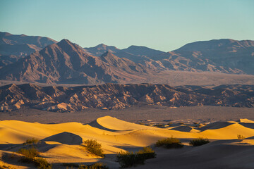 Sand dunes in Death Valley near stovepipe wells during sunrise in Death Valley National Park.