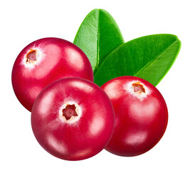 Cranberry isolated on white background