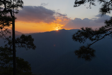 Landscape of mountain range in coniferous tree forest with dramatic sky at sunset time.