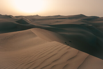 Desert landscape with sand dunes