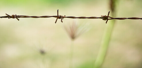 barbed wire against a fence