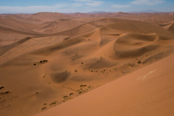 Fototapeta na wymiar Desert landscape with sand dunes