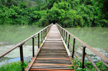 Fototapeta na wymiar A Long Wooden Foot Bridge in a Park