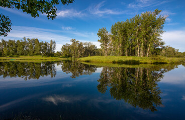 Obraz premium reflection of trees in water