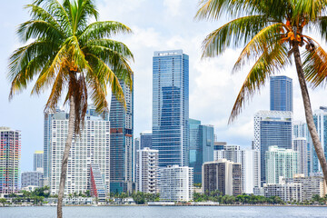 High-rises crowd the downtown Miami skyline along waterfront seen through palm tress in South Florida, United States - obrazy, fototapety, plakaty