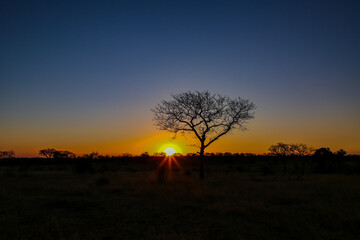 Sunset in Kruger National Park 