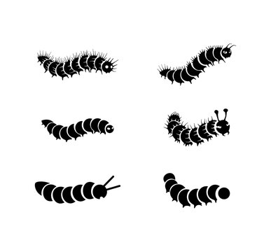 caterpillars icon collection vector image