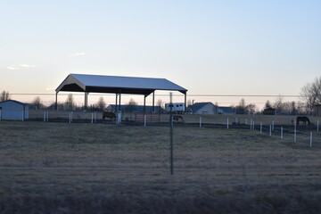Horse Pasture
