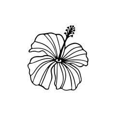 Hibiscus flower outline. Hibiscus line art vector illustration isolated on white background. Tropical flower silhouette icon, blossom doodle and simple element.
