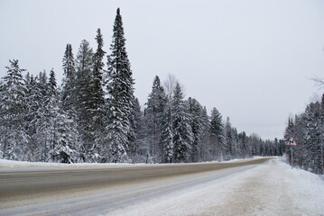 The road through the winter forest on a cloudy January morning. Western Siberia. Russia.
