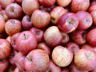 Close-up photo of apples in market. Rows of fruits background. Texture red apple. 