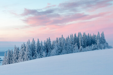 
Snowy trees in winter landscape. Orlicke mountains in winter, beautiful cold day near ski resort, Eastern Bohemia, Czech Republic. Trees covered with snow.