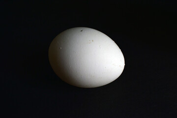 Side View of Closeup White Egg on On isolated Black Background