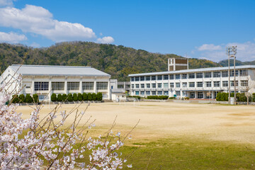 桜と学校　春　入学イメージ