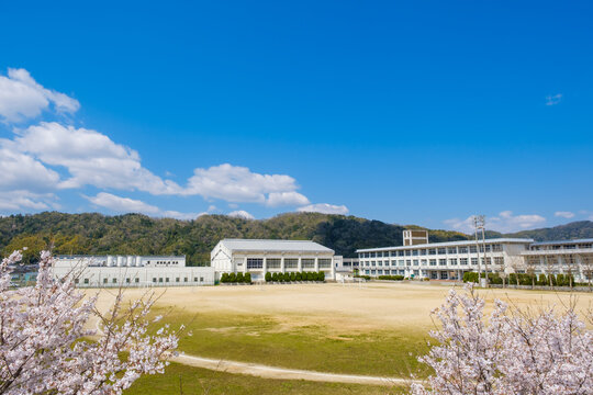 桜と学校　春　入学イメージ