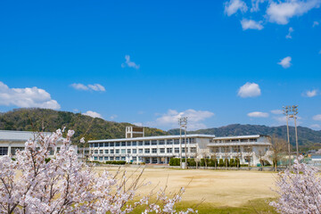 桜と学校　春　入学イメージ