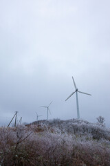 Wind power generation