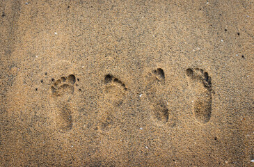 Fototapeta na wymiar Couple footprint on yellow sand beach showing togetherness