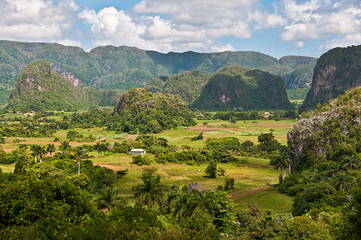 Obraz premium Valle de Viñales. Cuba. Paisaje tropical 