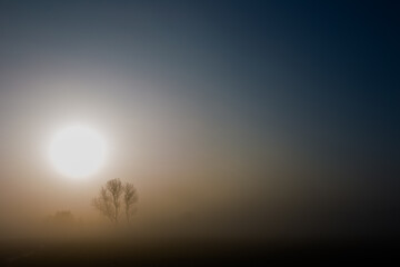 An einem kalten Wintertag scheint die Sonne durch dichten Nebel. Ein Baum wird durch die aufgehende Sonne beschienen.