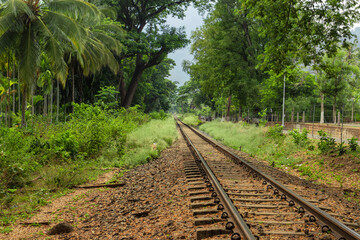 Isolated leading line railway tracks with tree