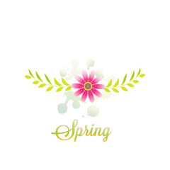 Watercolor Daisy Pink Spring Flower Greetings Card Banner