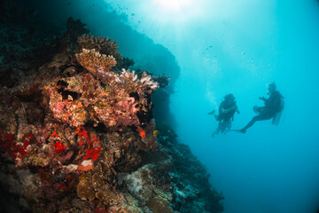 Naklejka na ściany i meble Scuba divers swimming among colorful reef ecosystems underwater, surrounded by schools of small tropical fish 