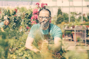 Water drops splashing from hose when farmer watering garden. Bearded gardener in eyeglasses sitting and growing plants in greenhouse. Selective focus. Commercial gardening and summer concept