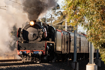 Historic Steam Locomotive