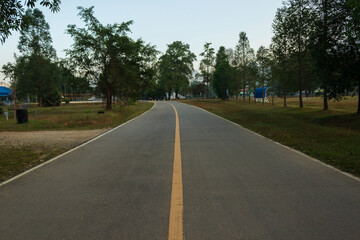 Fototapeta na wymiar The paved road in the park