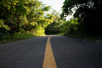 The paved road in the park