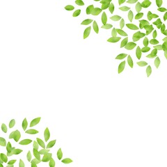 水彩風な新緑のイラスト背景素材