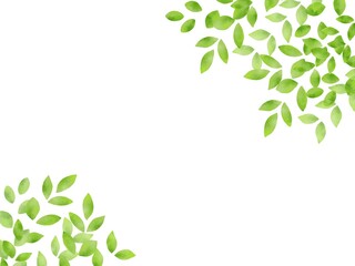 水彩風な新緑のイラスト背景素材