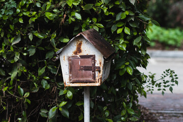 An old, rusty mailbox against a background of dark green leaves