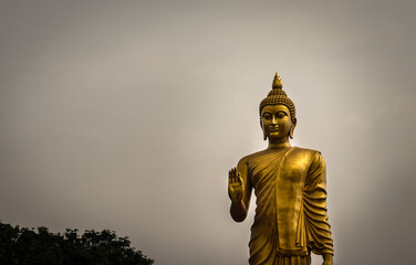 Budhha young golden standing statue isolated with white sky background