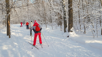 Healthy lifestyle, skiing in the winter.