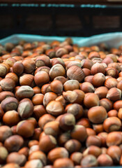 
Background from hazelnuts. Hazelnut.